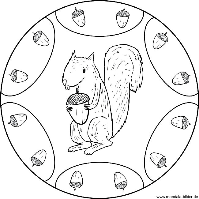 Eichhörnchen - Mandala und Ausmalbild
