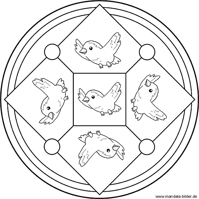 kinder mandala mit fünf vögeln als ausmalbild
