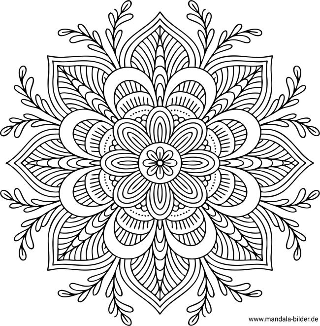 Mandala Ausmalbild Blume schwer Erwachsene