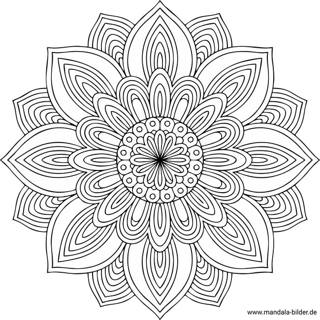 Schweres Mandala Blume Erwachsene