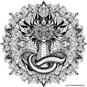 Drache Mandala-Malvorlage Erwachsene drucken