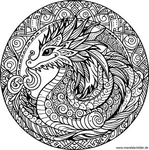 Drachen Mandala Erwachsene ausdrucken