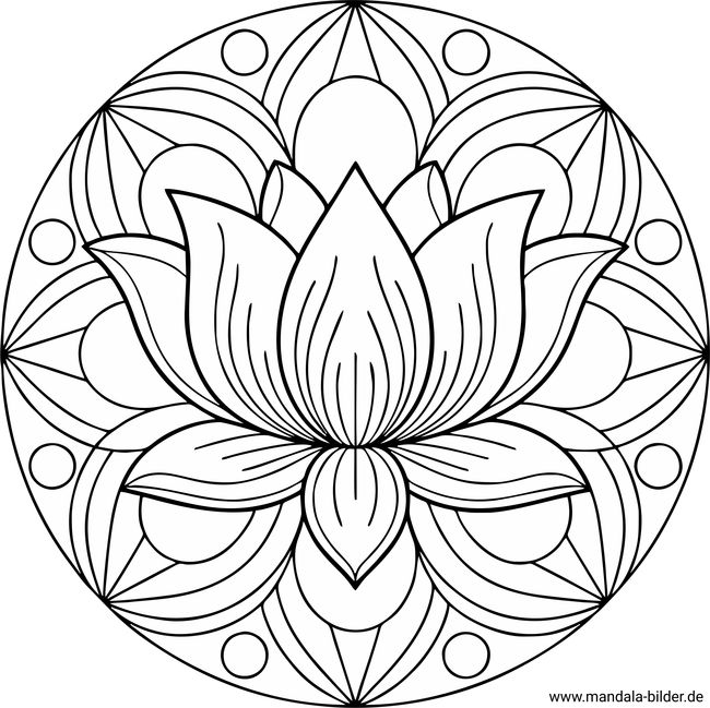 Mandala Ausmalbild Lotusblume