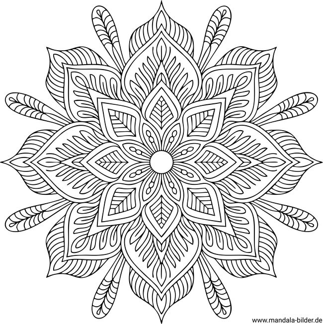 Mandala für Erwachsene anspruchsvoll Ausmalbild