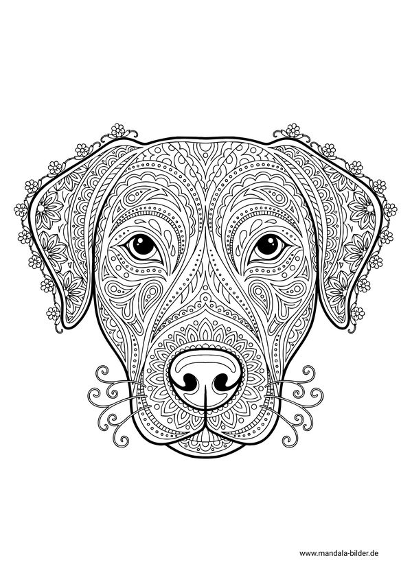 Hundekopf Mandala Ausmalbild Erwachsene