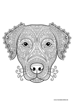 Hundekopf mit Mandala-Muster für Erwachsene drucken