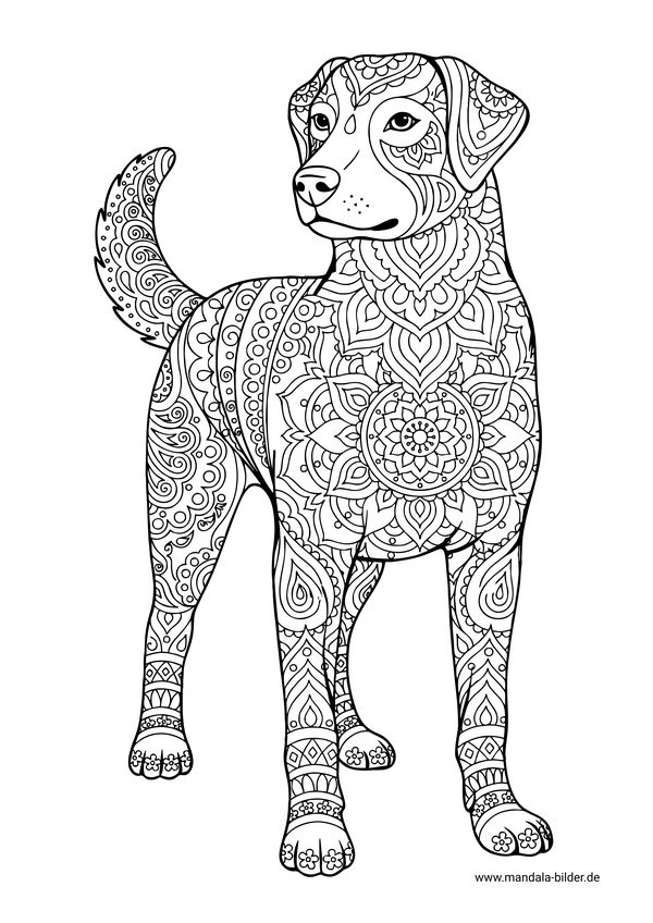 Mandala Hund für Erwachsene