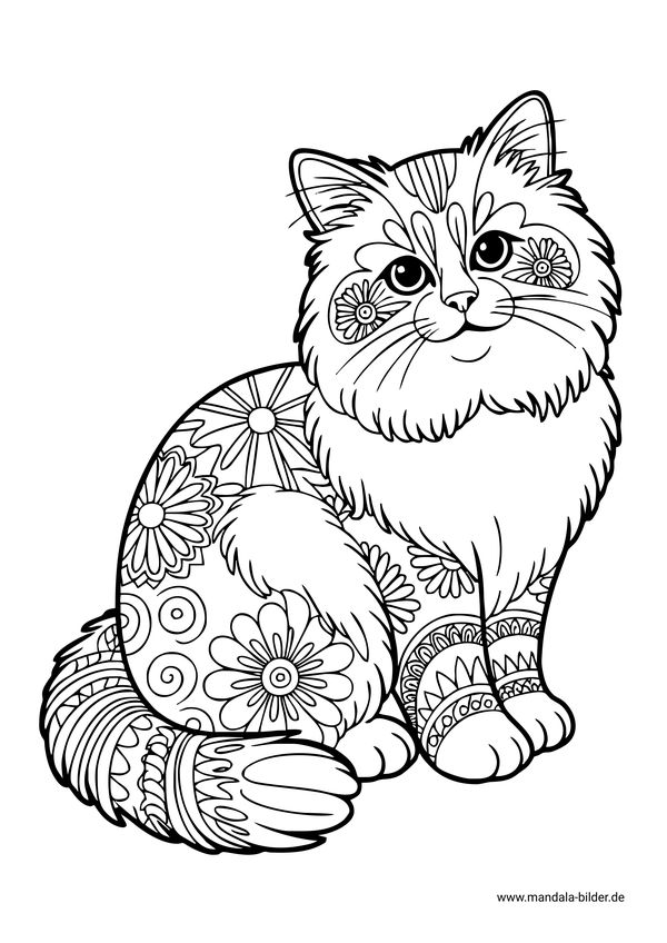 Katze Mandala-Malvorlage Erwachsene