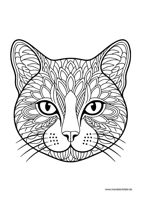 Mandala Katzenkopf