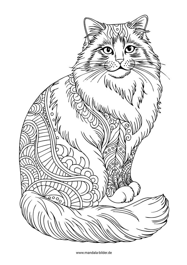 Perserkatze Mandala Ausmalbild Erwachsene