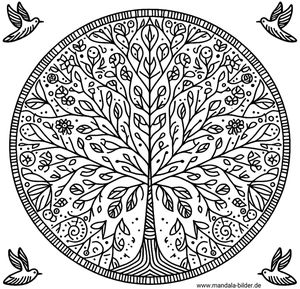 Mandala Malvorlage Baum für Erwachsene
