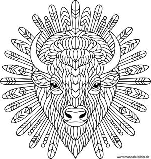 Bison Mandala-Ausmalbild für Erwachsene kostenlos
