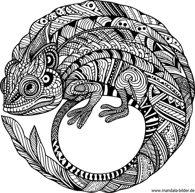 Chamäleon Tier Mandala Erwachsene