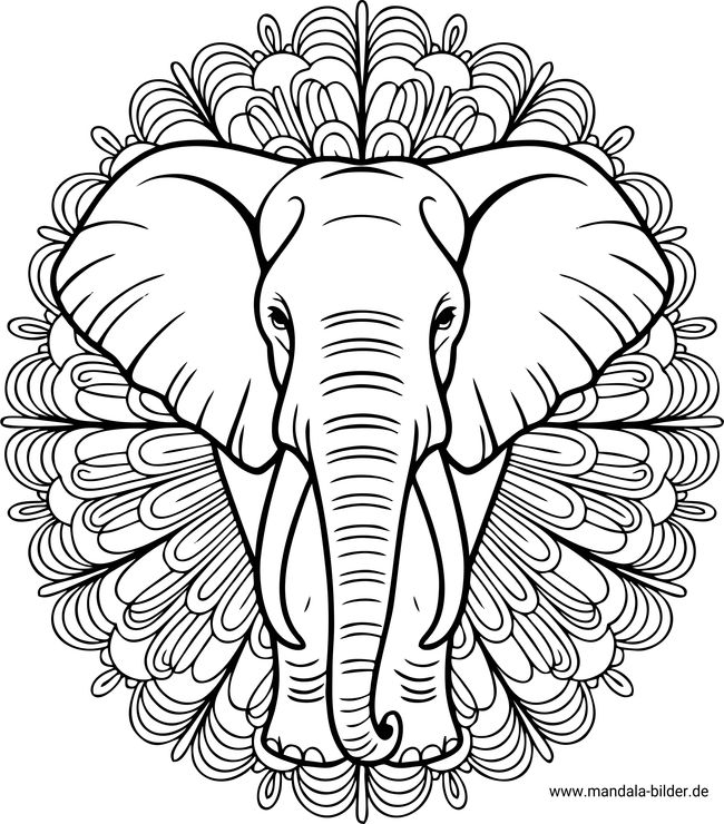 Elefant Mandala-Ausmalbild kostenlos