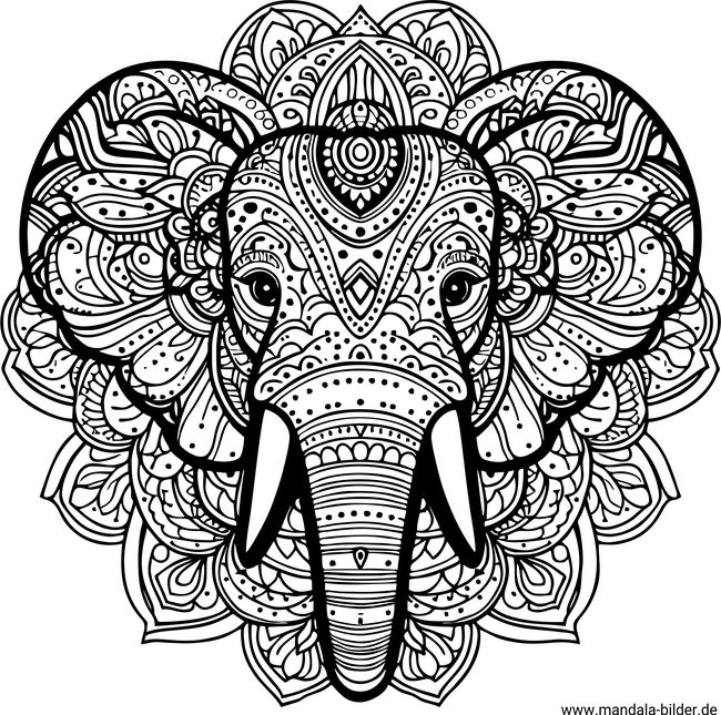 Elefant Mandala Tiere für Erwachsene