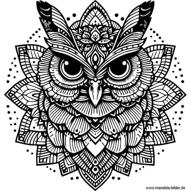 Eule Mandala Tiere für Erwachsene