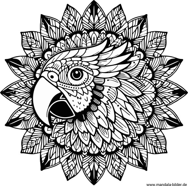 Mandala Tiere Papageienkopf