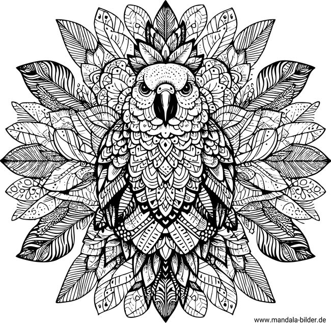 mandala vogel erwachsene