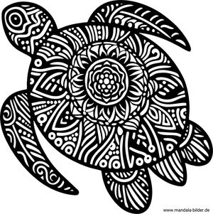 Schildkröten-Mandala Ausmalbild für Erwachsene