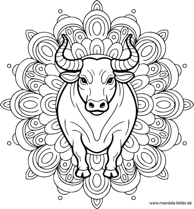 Stier Mandala-Tiere für Erwachsene