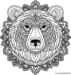 Tier Mandala Bär Malvorlage für Erwachsene