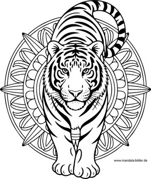 Tiger Mandala-Ausmalbild Tiere für Erwachsene