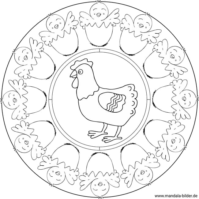 Huhn und Küken Mandala Ausmalbild