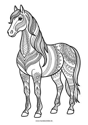 Mandala Pferd mit Muster am Körper für Erwachsene zum Ausmalen