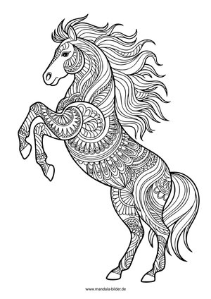 Pferd das steigt als Ausmalbild mit Muster und Mandala als Verzierung für Erwachsene