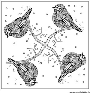 Mandala Ausmalbild für Erwachsene tiere Vogel