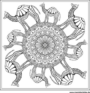 Quadratisches Mandala Ausmalbild Tiere für Erwachsene