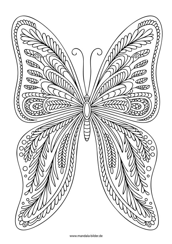 Mandala Schmetterling Muster Erwachsene