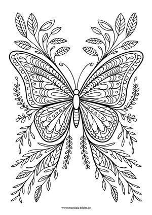 Schmetterling Ausmalbild Erwachsene zum Drucken