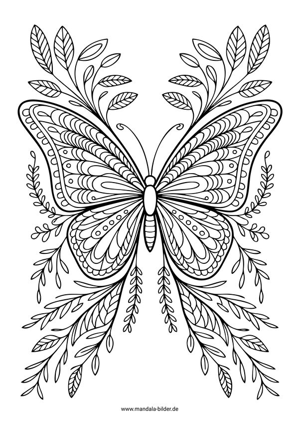 Schmetterling Ausmalbild Erwachsene