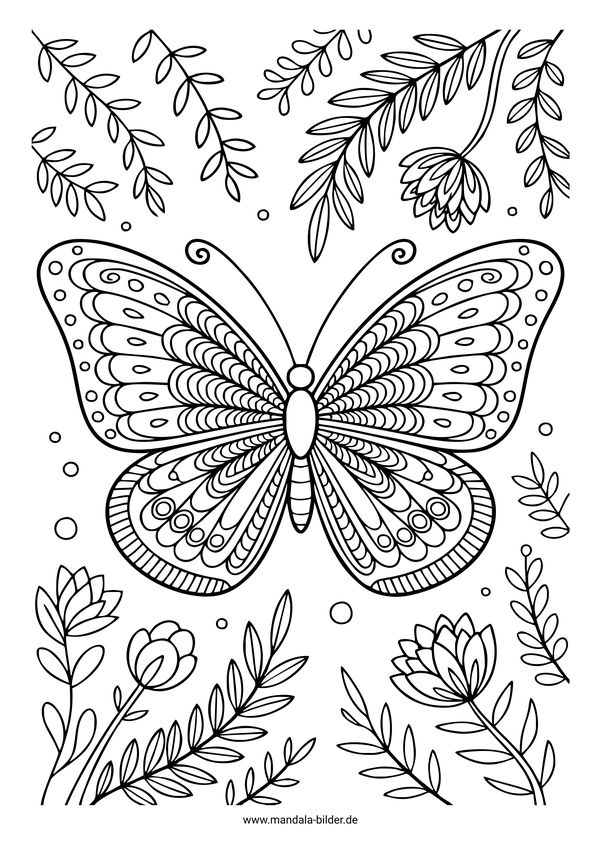 Schmetterling Natur Mandala Ausmalbild