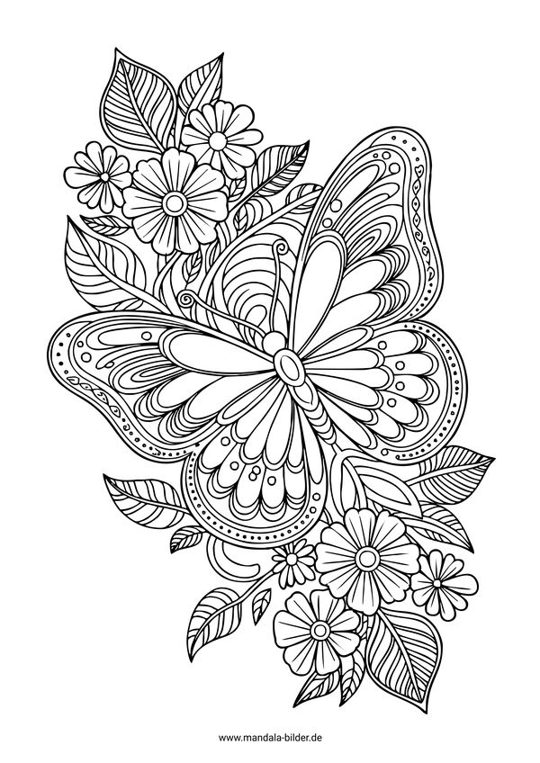 Schmetterling und Blumen Mandala Malbild