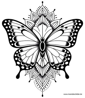 Tattoo Schmetterling kostenlose Vorlage