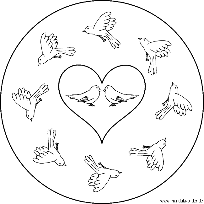 Mandala Vogel - Bild voller Liebe