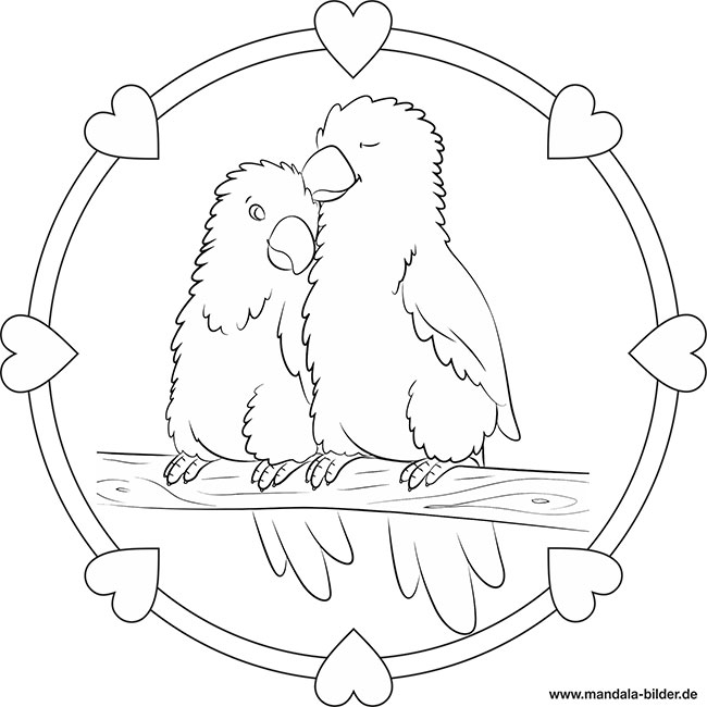 Mandala zwei Vögel die sich lieben