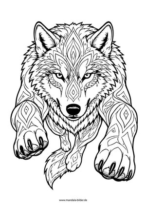 Wilder Wolf von vorne Ausmalbild für Erwachsene