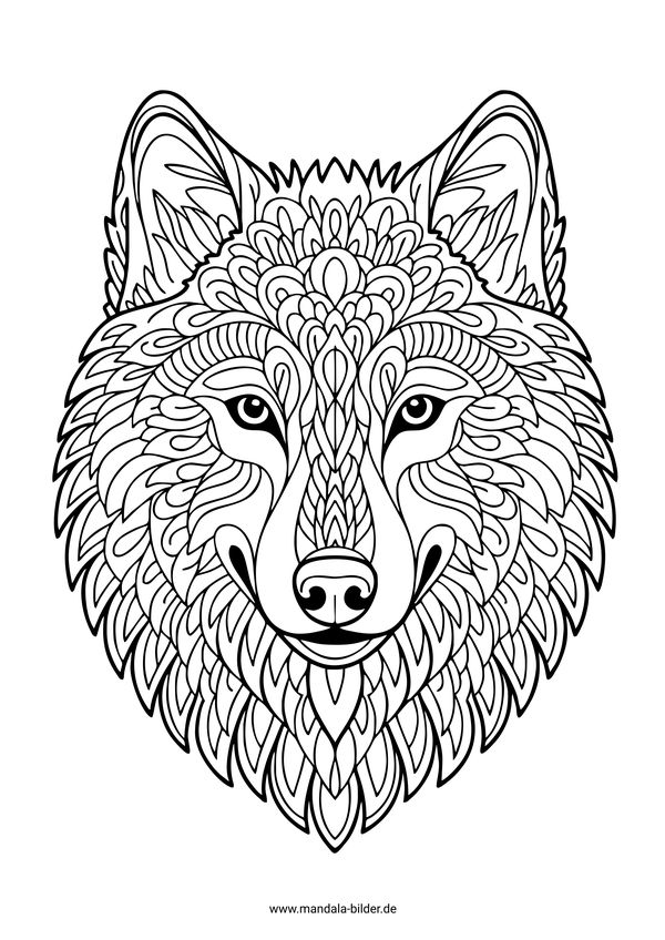 Wolfskopf mit Muster Malvorlage Erwachsene