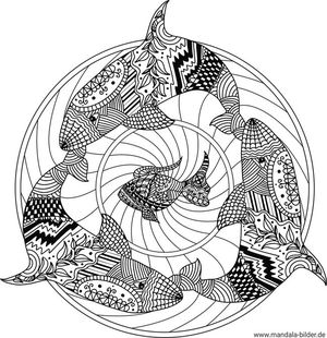 Mandala Erwachsene Tiere Hai Zen Art