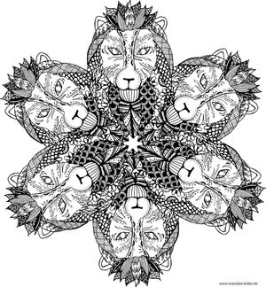 Zen Mandala Löwenkopf Erwachsene Ausmalbild